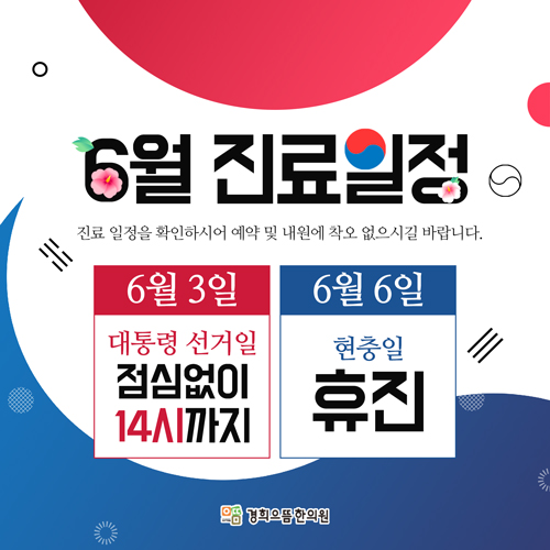 진료일정